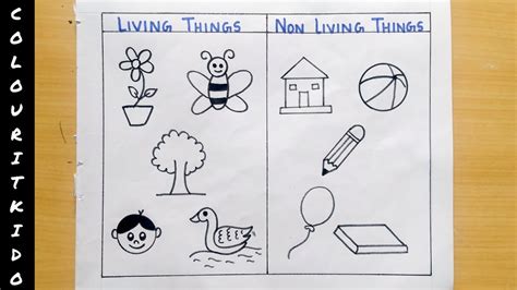 living things examples drawing|Draw a Living Thing Worksheet .